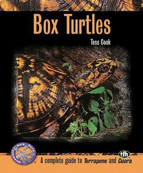 Paperback Box Turtles Book