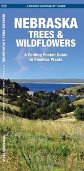 Paperback Nebraska Trees & Wildflowers: A Folding Pocket Guide to Familiar Plants Book