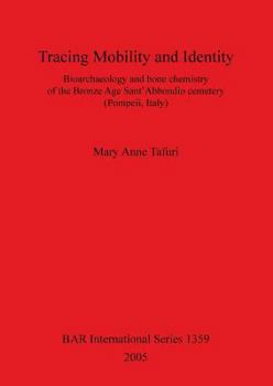 Paperback Tracing Mobility and Identity Book