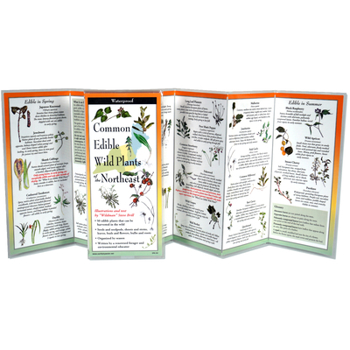 Misc. Edible Plants of the Northeast Book
