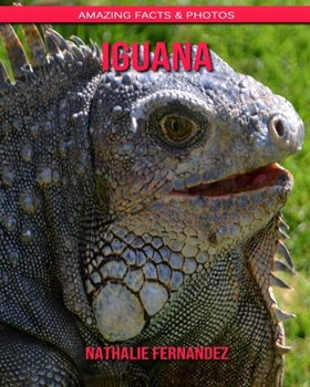 Iguana: Amazing Facts & Photos