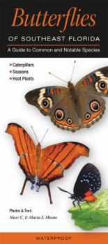 Pamphlet Butterflies of Southeast Florida: A Guide to Common & Notable Species Book