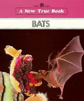 Paperback New True Books: Bats Book