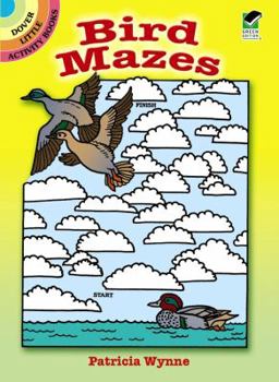 Paperback Bird Mazes Book