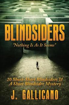 Paperback Blindsiders: Nothing Is As it Seems Book