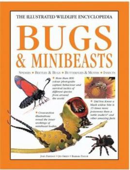 Paperback Bugs and Minibeasts Book