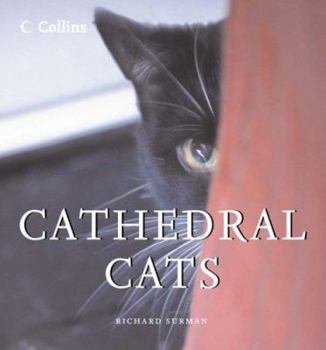 Hardcover Cathedral Cats Book