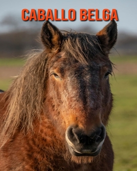 Paperback Caballo belga: Im?genes asombrosas y datos curiosos [Spanish] Book