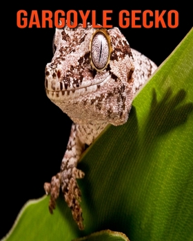 Paperback Gargoyle Gecko: Amazing Facts about Gargoyle Gecko Book