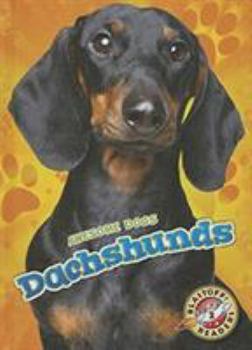 Dachshunds - Book  of the Awesome Dogs