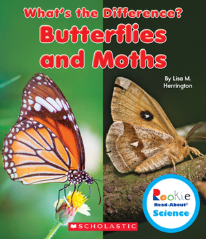 Hardcover Butterflies and Moths (Rookie Read-About Science: What's the Difference?) Book