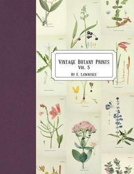 Paperback Vintage Botany Prints: Vol. 5 Book