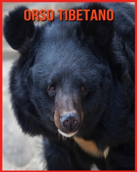 Orso Tibetano: Immagini incredibili e fatti divertenti sui Orso Tibetano