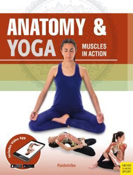 Paperback Anatomy & Yoga: Muscles in Action Book