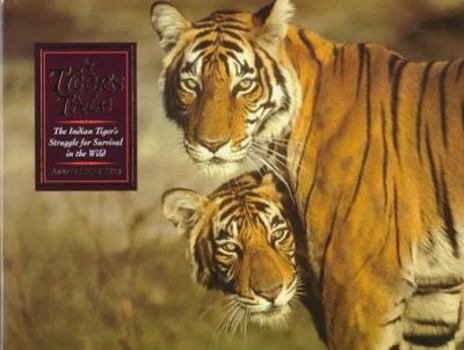 Hardcover Tiger's Tale Book