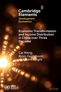 Paperback Economic Transformation and Income Distribution in China over Three Decades Book