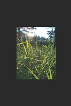 Paperback Lilies in the Weeds: A journey from heartbreak to new love Book