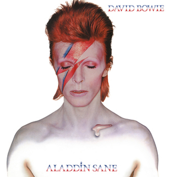 Vinyl Aladdin Sane Book