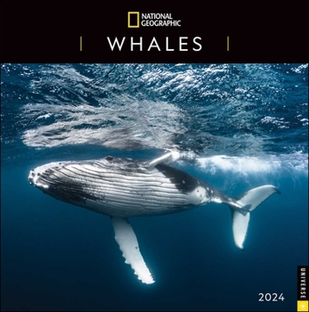 Calendar National Geographic: Whales 2024 Wall Calendar Book