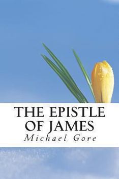 Paperback The Epistle of James Book