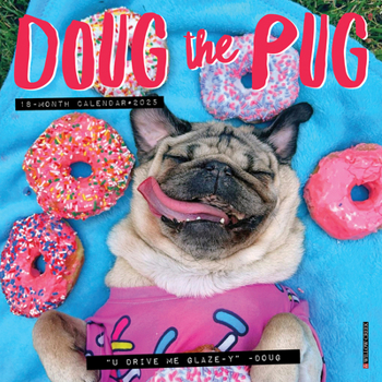 Calendar Doug the Pug 2025 7 X 7 Mini Wall Calendar Book