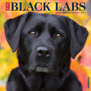 Calendar Just Black Labs 2021 Wall Calendar (Dog Breed Calendar) Book