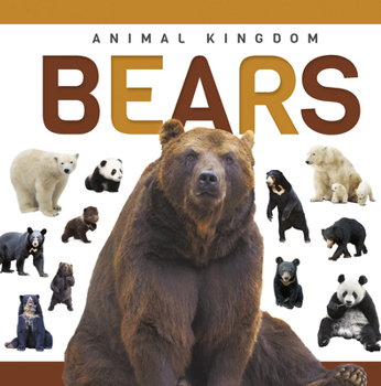 Paperback Bears Book