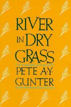 Paperback River in Dry Grass Book