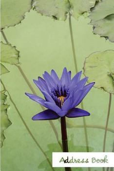 Address Book.: (Flower Edition Vol. 192) Glossy And Soft Cover, Large Print, Font, 6" x 9" For Contacts, Addresses, Phone Numbers, Emails, Birthday And More.