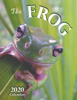 Paperback The Frog 2020 Calendar Book
