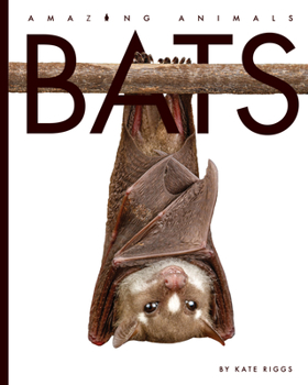 Library Binding Bats Book