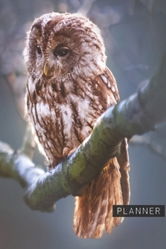 Planner: Owl 1 Year Daily Planner (12 Months) | 2020 - 2021 | 365 Pages for Planning | January 20 - December 20 | Appointment Calendar Schedule | Plan Each Day Set Goals & Get Stuff Done