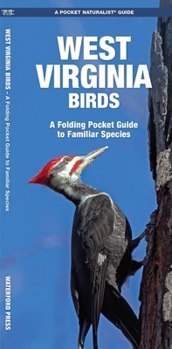 Paperback West Virginia Birds: An Introduction to Familiar Species Book