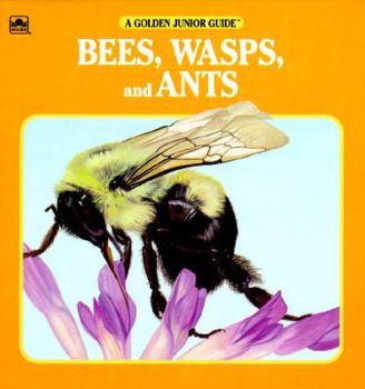Hardcover Bees, Wasps and Ants Book
