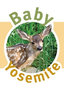 Board book Baby Yosemite Book