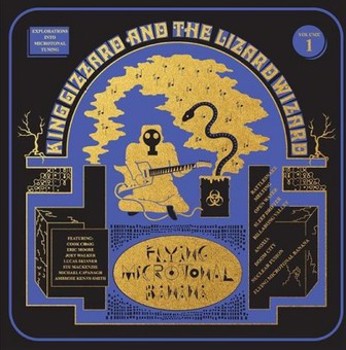 Vinyl Flying Microtonal Banana (Highlighter Yellow LP) Book