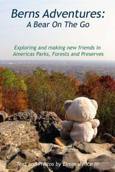 Paperback Bern's Adventures: A Bear on the Go Book