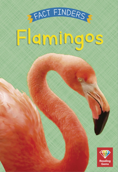 Library Binding Flamingos Book