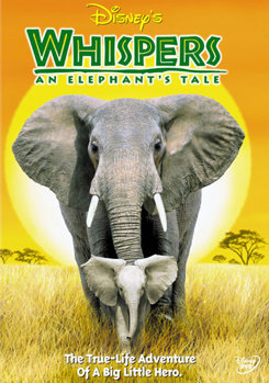 DVD Whispers:  An Elephant's Tale Book