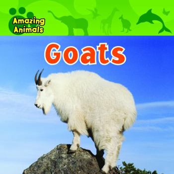 Goats - Book  of the Amazing Animals