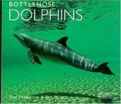 Paperback Bottlenose Dolphins Book