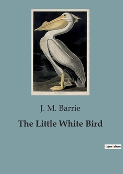 Paperback The Little White Bird Book