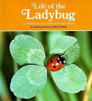 Hardcover Life of the Ladybug Book