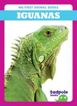 Library Binding Iguanas Book