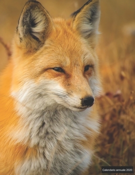 Calendario annuale 2020: ? Manuale dell'organizzatore pratico per il 2020 ? Anteprima di 12 mesi ? 52 pianificatore settimanale con compiti e obiettivi ? formato A4+ ? motif: Fuchs (Italian Edition)