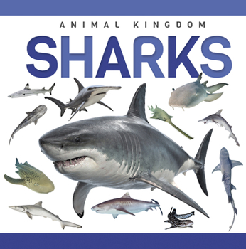 Paperback Sharks Book