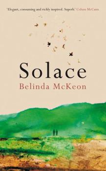 Paperback Solace Book