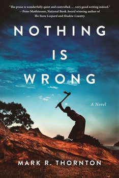 Hardcover Nothing Is Wrong Book