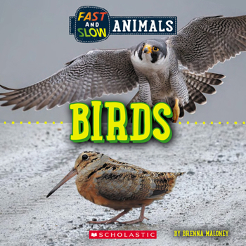 Hardcover Birds (Wild World: Fast and Slow Animals) Book