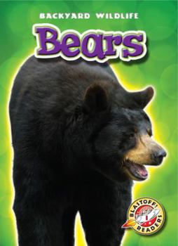 Bears - Book  of the Backyard Wildlife